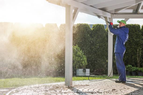 Best Dumpster Area Cleaning  in Peotone, IL